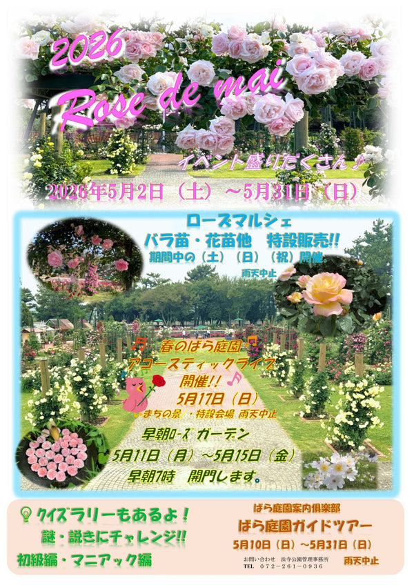堺 | 5月11日〜5月15日 | 浜寺公園 早朝ローズガーデン